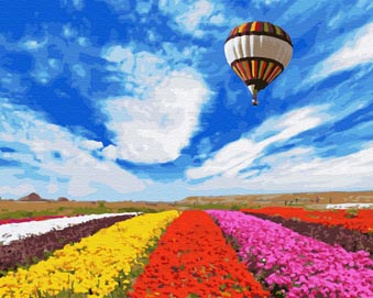 Malen nach Zahlen Leinwand über Blumen Heissluftballon